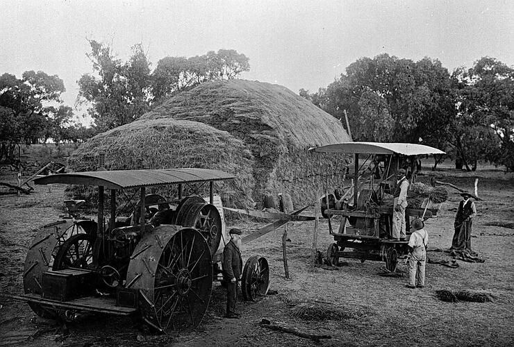 [Cutting hay into chaff with the first tractor in the Hopetoun district, about 1895.]
