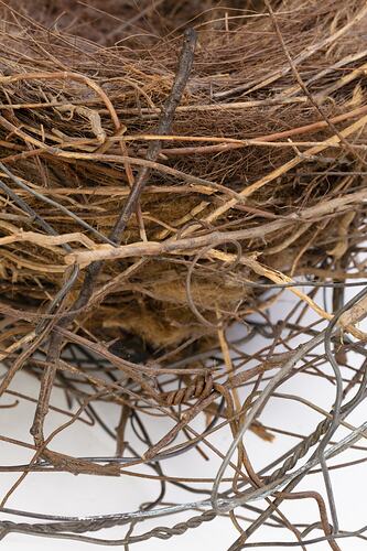 Detail of magpie nest made of twigs and grasses.