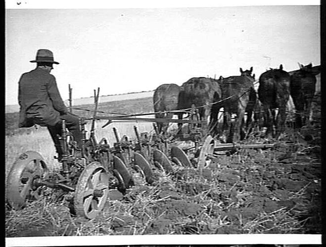 NOS 1, 2 & 3. SUNBOW WORKING ON MILLET BROS. FARM, SUNBURY. AUGUST 1928.