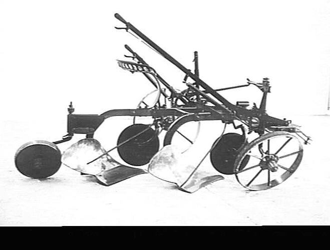 TAKEN JULY 1929 'SUNREED'