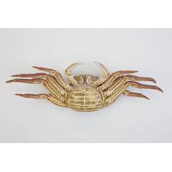 <em>Plagusia chabrus</em>, Red Rock Crab. [J 44703.5]
