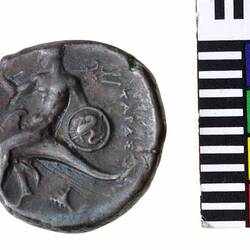 Coin - Didrachm, Tarentum, Italy, circa 425 BC