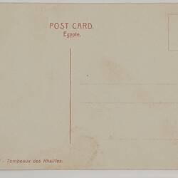 White back of blank postcard.