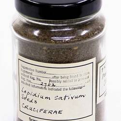 Seed Sample - Lepidium sativum (Cruciferae) , India, 1880s