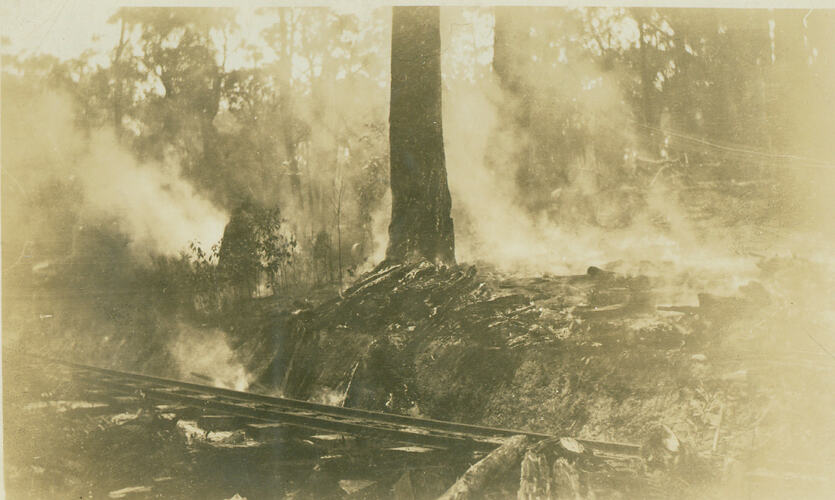 Photograph - A railway line in a smouldering area of forest after a fire.