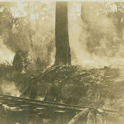 Photograph - Railway Line in Area of Smouldering Forest after a Fire, circa 1950s