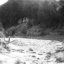 Digital Photograph - Moonee Ponds Creek After Flood, Brunswick West,  circa 1915