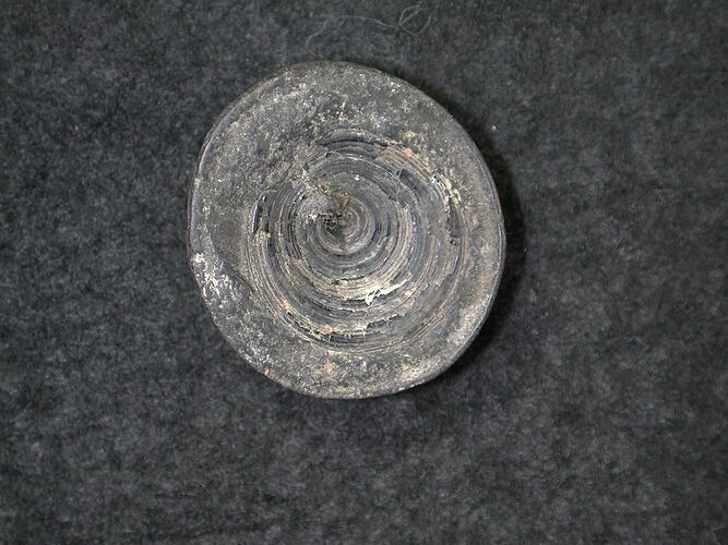 Round, flat-appearing fossil brachiopod specimen.