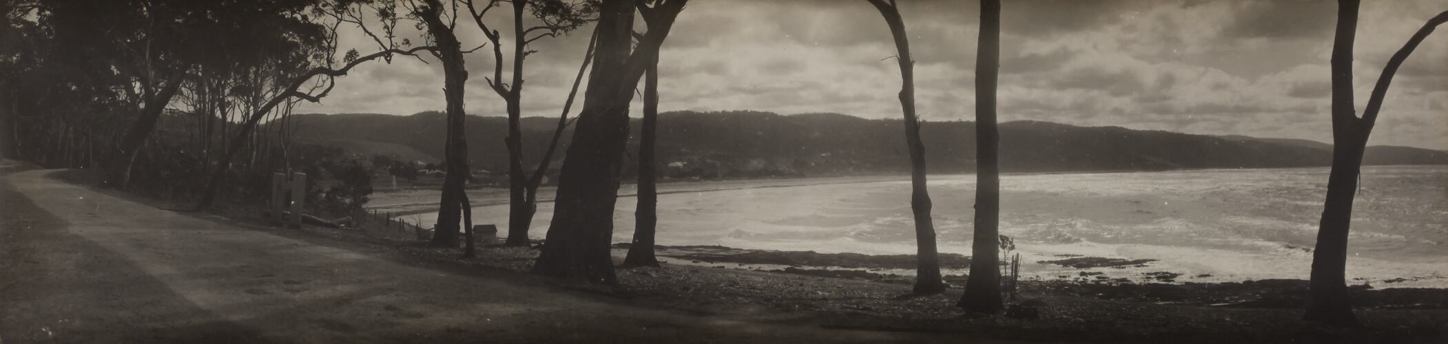 Photograph - Coastal Landscape, Lorne, Victoria, circa 1920s