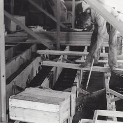 - Kodak Australasia Pty Ltd, Construction of Kodak Factory, Ceiling Space of Building 5 Sheet Film, Coburg, 1958