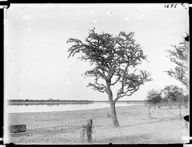 Negative, Australia, Central Australia