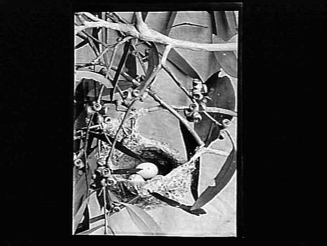 Negative - Glass