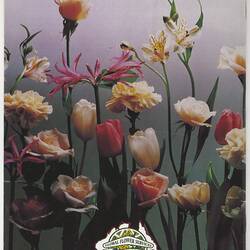Catalogue front cover with different flowers.