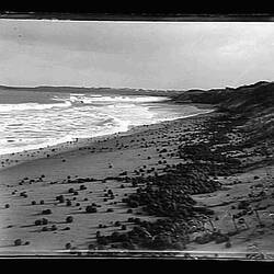 Glass Negative - Fibre-Balls, by A.J. Campbell, Middleton Beach, via Goolwa, South Australia, Sep 1908