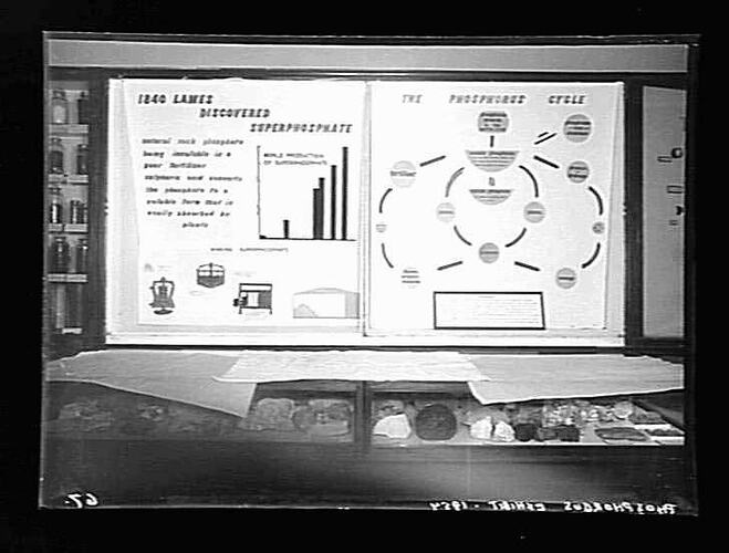 Glass Negative - Agriculture Displays, Science Museum, Melbourne, 1954
