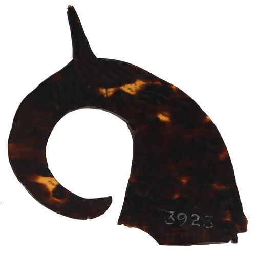 Ornament, neck, Australia, Torres Strait