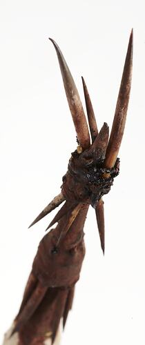 Spear, Australia, Northern