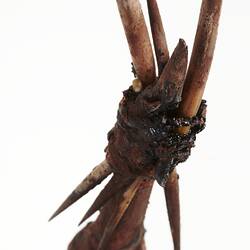 Spear, Australia, Northern