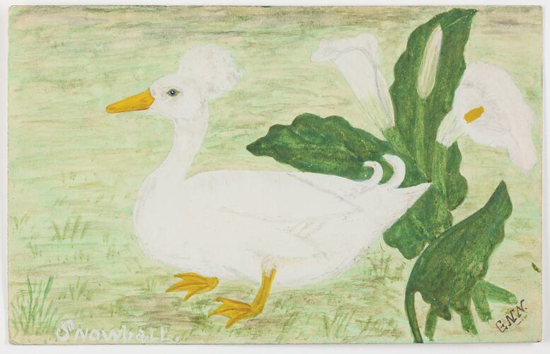 Drawing of white duck and plants.