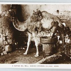 Postcard - 'A Native Oil Mill, Sheikh Othman Village, Aden', Ship 'New Australia', 1951