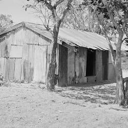 Negative, Gove, Northern Territory, Australia, 1968