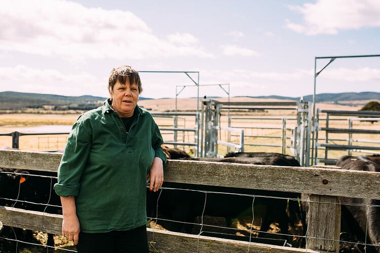 Woman leaning on fence of cattle enclosure.