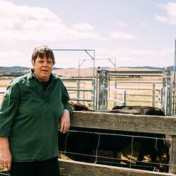 Woman leaning on fence of cattle enclosure.