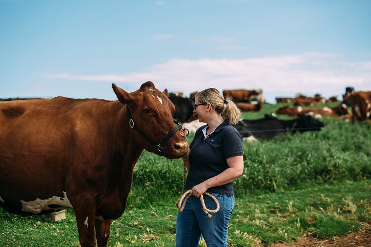 Woman holding cow by a leader.