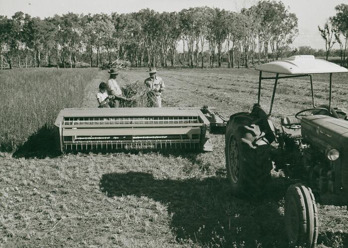 Two men and a boy examining hay at rear of windrower attached to a tractor, in field of partially cut hay.