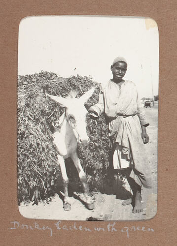 Man with donkey laden with grain.