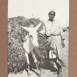 Photograph - 'Donkey Laden With Grain', Egypt, World War I, 1915-1917