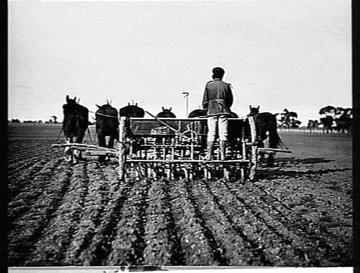 Photograph - H.V. McKay Pty Ltd, Farm Equipment Manufacture & Field ...