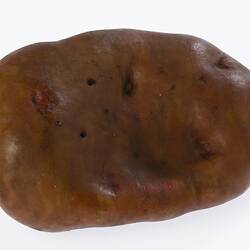 Irregularly shaped light brown model of a potato.