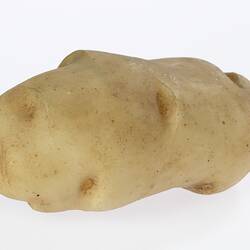 Light brown wax potato model.