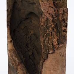 Irregularly shaped timber sample. Hollow in centre.