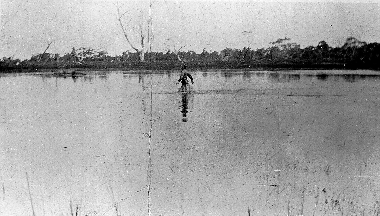 Negative Man Walking Through the 'Little Swamp' , Dereel, Victoria