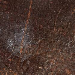 Brown fossil fish in pale matrix, detail.