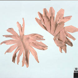 Artificial Flowers - Pale Pink, circa 1950s-1970s