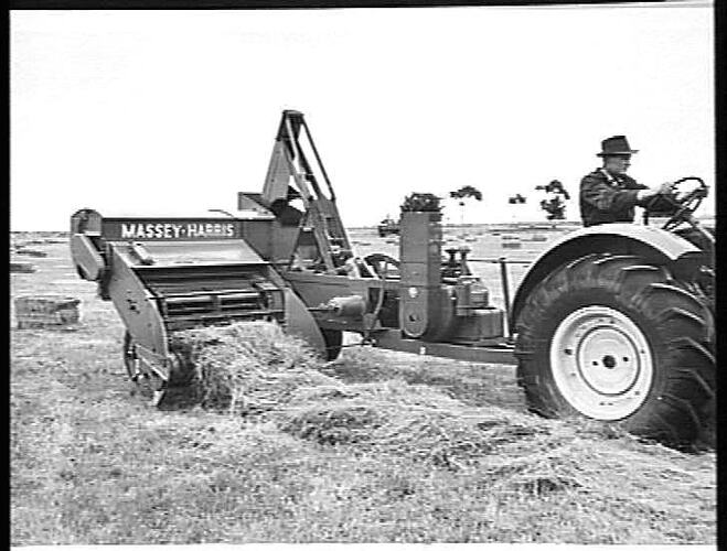425. THE 701 MASSEY-HARRIS AUTOMATIC TWINE-TIE PICKUP BALER BALING RYEGRASS ON THE METROPOLITAN BOARD'S FARM AT WERRIBEE, VIC., JANUARY 1952