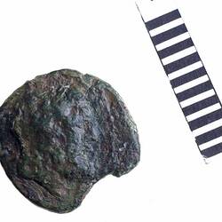 Coin - Semuncia, Barium, Apulia, Italy, circa 210 BC