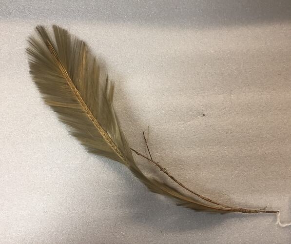 Finely spun glass replicating a yellow feather.