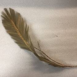 Finely spun glass replicating a yellow feather.