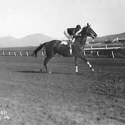 Phar Lap & Jockey Bill Elliot, Agua Caliente, 1932