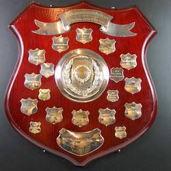 Wooden shield for hostel of the year