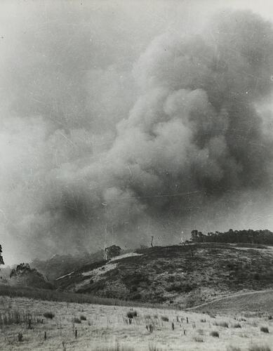 Photograph - Bushfire, Victoria, circa 1930s