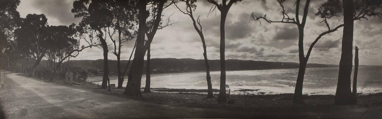 Photograph - Coastal Landscape, Lorne, Victoria, circa 1920s