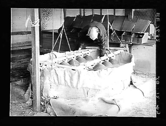 Negative - Glass