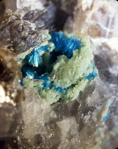 Green minerals surrounded by sprays of blue mineral.