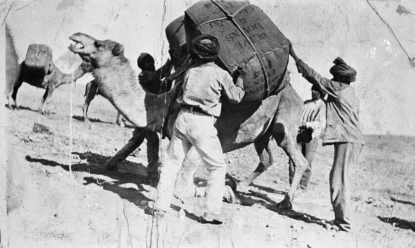 Men loading a hay bale onto a camel.