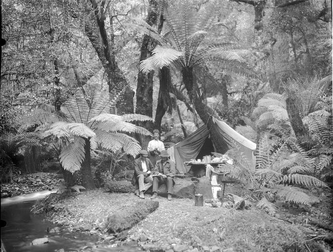 [A camp in the forest of the Upper Yarra Valley, 1906.]
